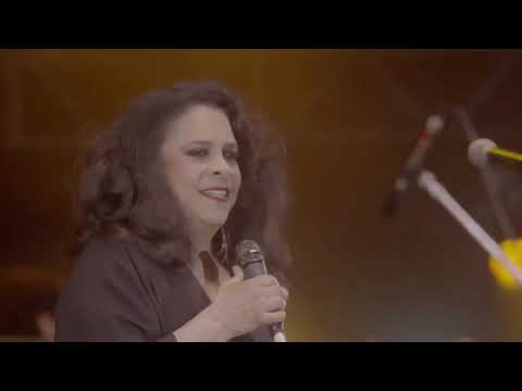 GAL COSTA COALA 2022