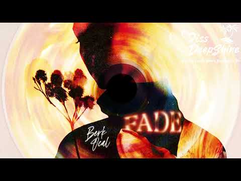 Berk Ocal - Fade
