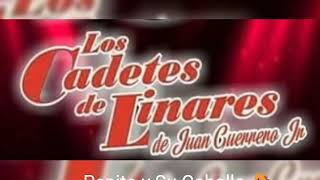 Los Cadetes De Linares De Juan Guerrero Jr-Pepito y Su Caballo