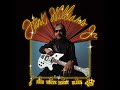 Hank Williams Jr. - I Like It When It's Stormy