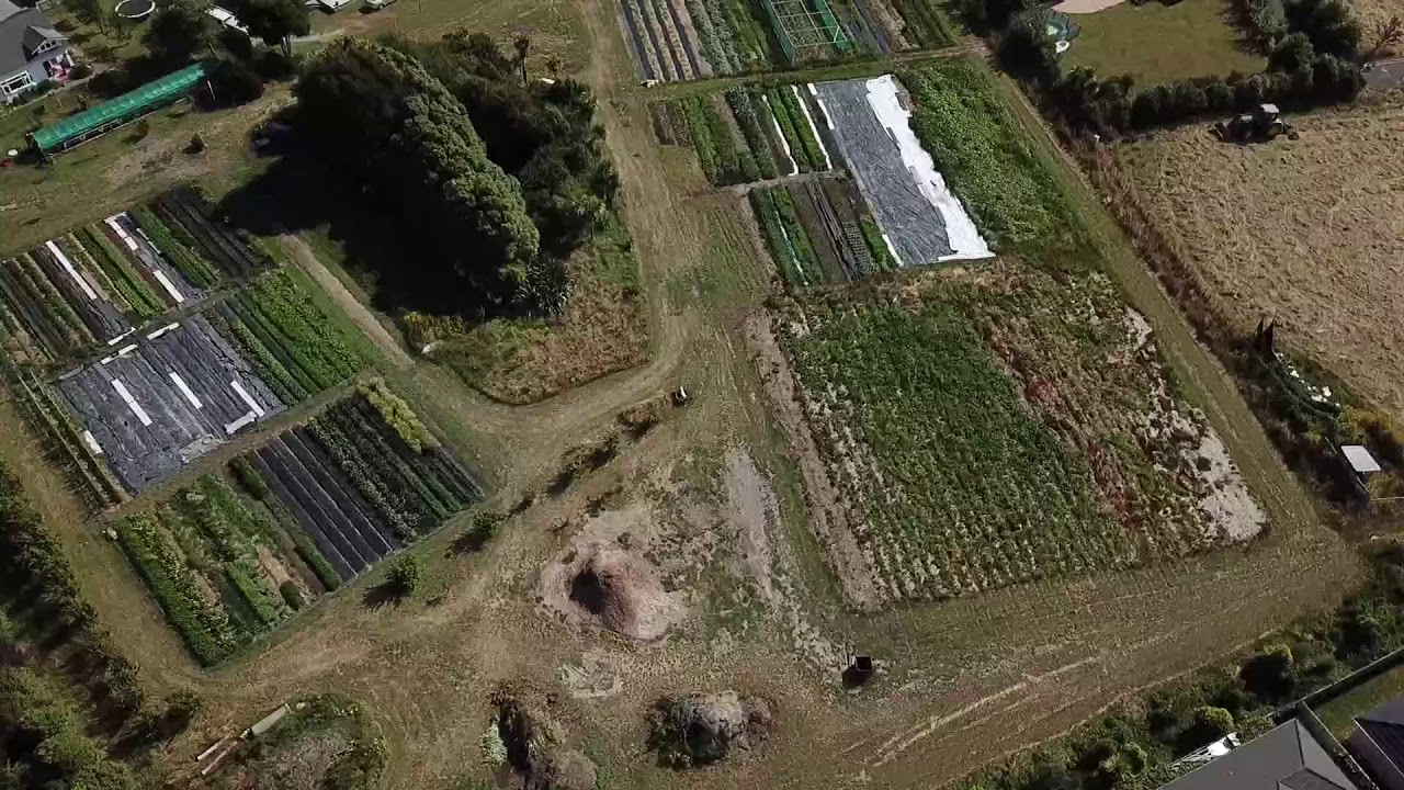 Earth Stewards Organic Farm