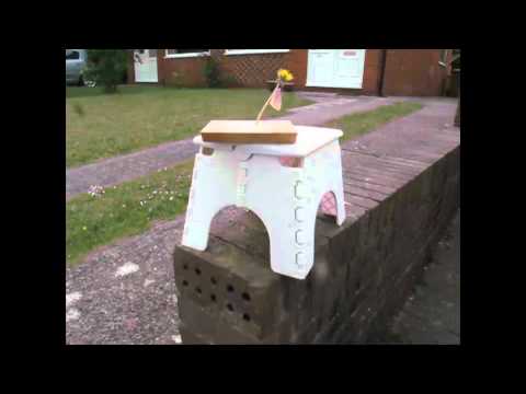 Close Up White Butterfly