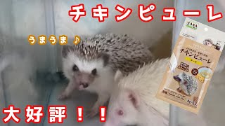 ピューレとハリネズミ