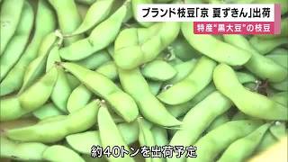 北近畿から”夏野菜”出荷の便り　ブランド枝豆に特産のピーマン