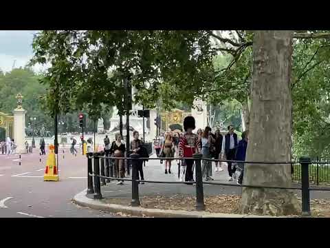 Scots guards - Duty Bugler