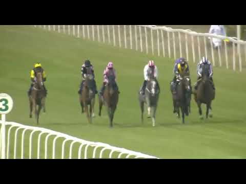 2022 06/ 24 / R 5 HOLLIE DOYLE: / Han Solo Berger T RM H Cowell   @Yarmounth