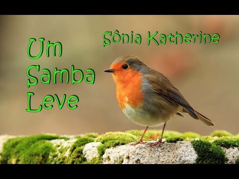 Um Samba Leve video