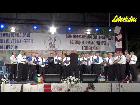 Corul bărbătesc al  C.N.M.N.R.S.  - Frunzuleana mărăcine