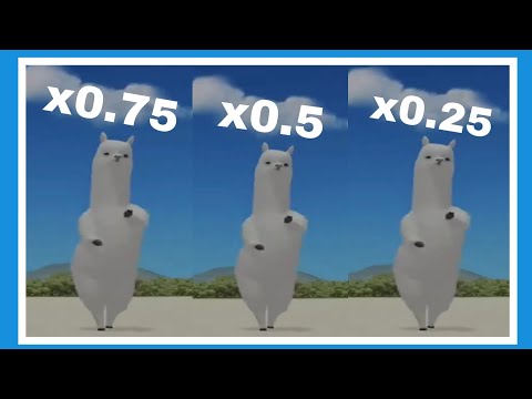 Mi Pan Su Su Sum |MEME| (Con velocidades lentas)