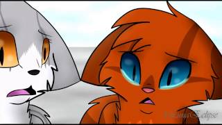 Two Faced MAP-Paper Scars