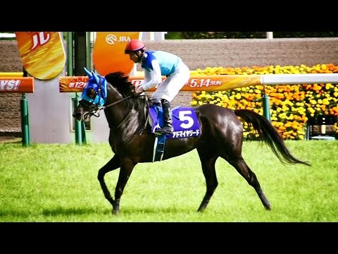 2017.05.14ヴィクトリアマイル(G1)ウイニングラン(アドマイヤリード＆ルメール)＠東京競馬場