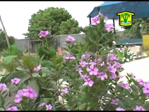 Naseer Ahmed -  Samol Samol Malo Mal