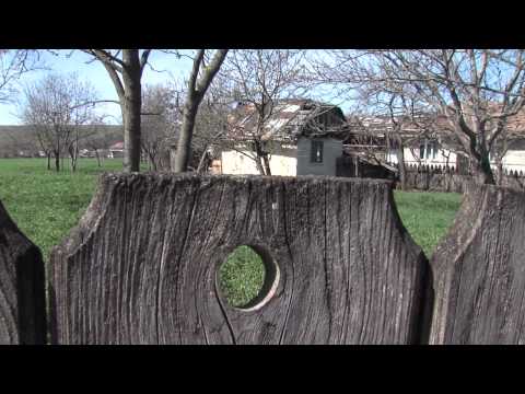 MATERIAL COMUNA BODESTI