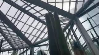 【ライブ156】フランクフルト : パルメンガルテン植物園から