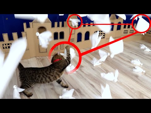 🐈👻Cat Kitten ATTACK on Ghost Town in Real Life.