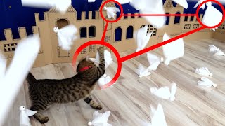 Kitten ATTACK on Ghost Town in Real Life.