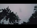 Saason Mein Badi Bekarari WhatsApp Status Rain Status Romantic Whether Status