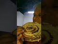 Ashish Vidyarthi Actor Vlogs Sad Love Youtube Family Thnks