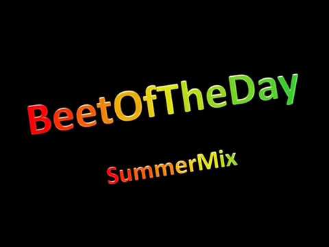 BeetOfTheDay SummerMix Part 4/4