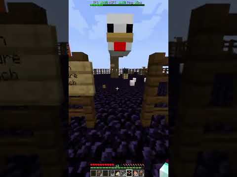 Wozrd - We Almost Escaped the spawn on an Anarchy SMP (& YOU CAN TOO!) #shorts