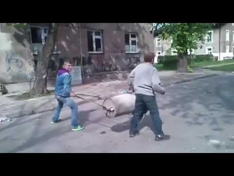 YouTube video