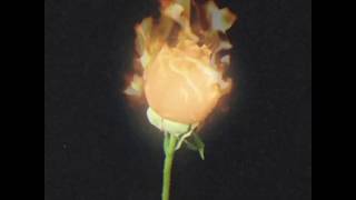 Holy Boy  / Lay Your Hands (art by @kidmograph)