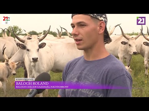 TV21 UNGVÁR - KOMMENTÁR NÉLKÜL (2020.07.13.)