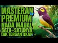 OFFICIAL VIDEO MASTERAN BURUNG PREMIUM Nada Mahal Satu Satunya Yang Tak Tergantikan
