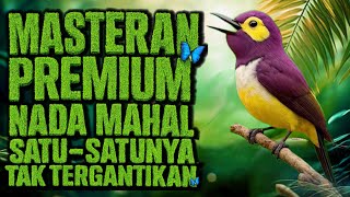 Download lagu VIDEO – MASTERAN BURUNG PREMIUM Nada Mahal • Satu-Satunya yang Tak Tergantikan mp3 Download lagu VIDEO – MASTERAN BURUNG PREMIUM Nada Mahal • Satu-Satunya yang Tak Tergantikan mp3