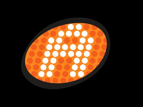 ALL AKADEMIA - AKADEMI FANTASI INDOSIAR