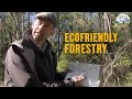 Forestry A More Sustainable Way With Mikael Karlsson