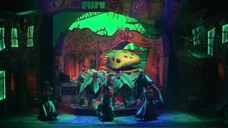 Little Shop of Horrors Review | Palace Theatre | Manchester