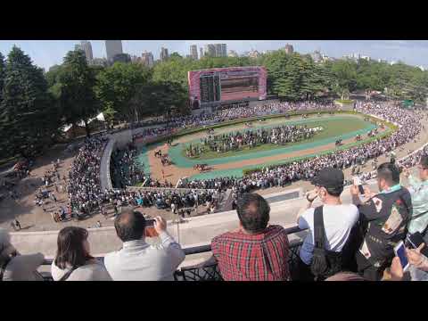 Tokyo Horserace May 2019