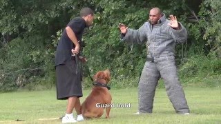 Dark Dynasty k9's Protection Demo #5 Featuring DDK9'S  "Cassius Clay & Zion I"