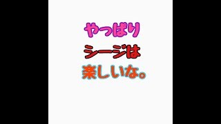 ［R6S］短いぜ！