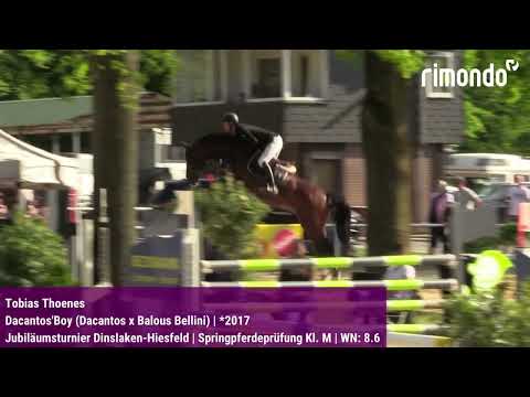 BuCha-Quali Dinslaken-Hiesfeld – Tobias Thoenes & Dacantos'Boy