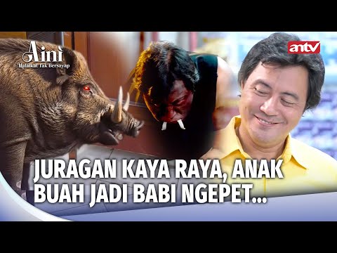 Juragan Licik! Pesugihan Babi Ngepet Telan Nyawa Anak Buah | Aini Malaikat Tak Bersayap Eps 218 FULL