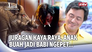 Download lagu Juragan Licik! Pesugihan Babi Ngepet Telan Nyawa Anak Buah | Aini Malaikat Tak Bersayap Eps 218 FULL mp3