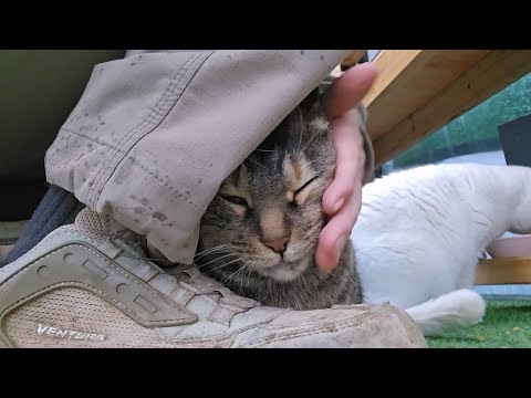 이제 얼굴도 만질 수 있음