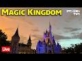 Live Friday Night Live At Magic Kingdom 7 17 26 Walt Disney World Live Stream
