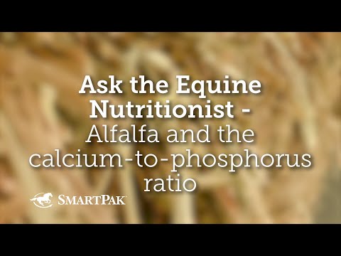 Ask the Equine Nutritionist - Alfalfa and the calcium-to-phosphorus ratio