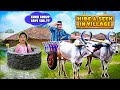 Ultimate Hide And Seek In RURAL VILLAGE Epic Game Of Hide And Seek Hungry Birds
