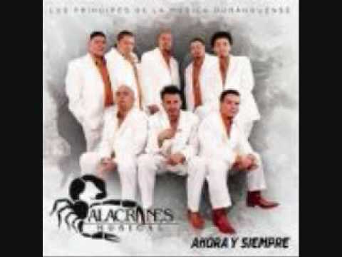 download lagu mp3 mp4 Alacranes Musical Sigo Pensando En Ti, download lagu Alacranes Musical Sigo Pensando En Ti gratis, unduh video klip Alacranes Musical Sigo Pensando En Ti