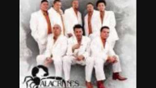 ALACRANES MUSICAL SIGO PENSANDO EN TI