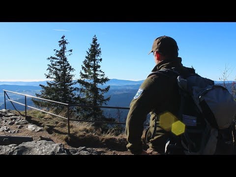 Wander-Tipp: Durchs Höllbachgespreng auf den Großen Falkenstein