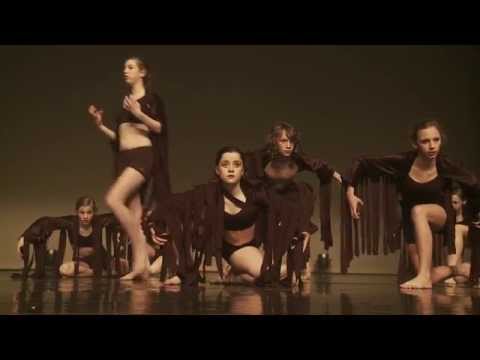 SUYCD V - DC Danskern