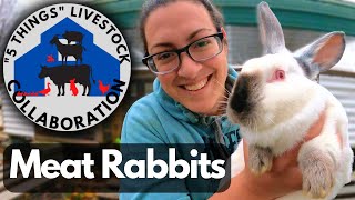 5 Things I Wish I Knew BEFORE Getting Meat Rabbits | Collaboration and Giveaway