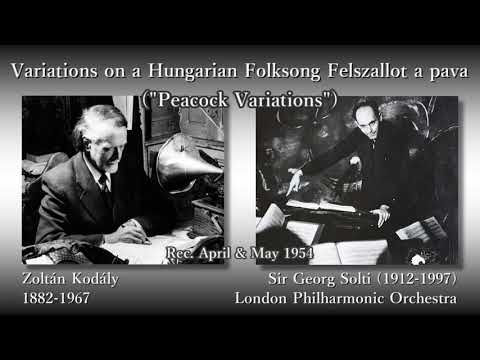 クジャクホイールシダ