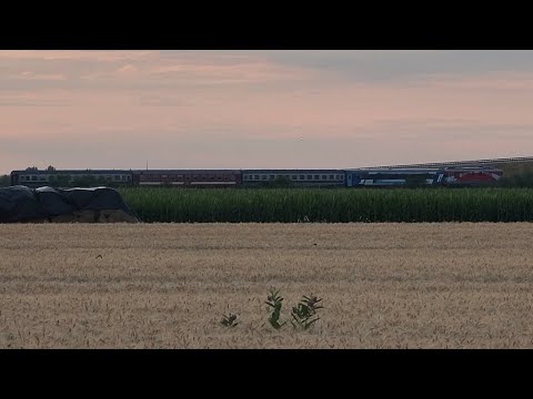 IR 686 / EC 143 Wien Hbf - Satu Mare - Baia Mare observat din lanurile de grau aurite