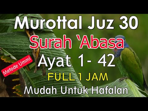 Surat Abasa metode ummi | Murottal juz amma surat abasa  1-42